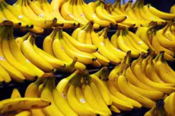 Must Read!! See The 7 Interesting Facts You Need To Know About Banana